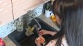 В Ярославле в ходе гидравлических испытаний выявлено более 100 дефектов