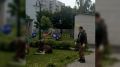 В Ярославле лось зашел на территорию детского сада в Заволжском районе