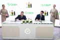 ������ ������: �� ������������� ������������� ������������� ������ ��������� ���������� �� ������ � �������������� �����������