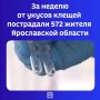 Такой статистикой за период с 8 по 14 июня поделилось областное Управление Роспотребнадзора