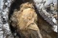 Петербуржцы столкнулись с отключением воды из-за засора
