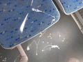 В Ярославле неизвестные испортили салон автобуса