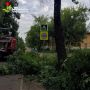 В Ярославле спиливают пострадавшие от сильного ветра деревья
