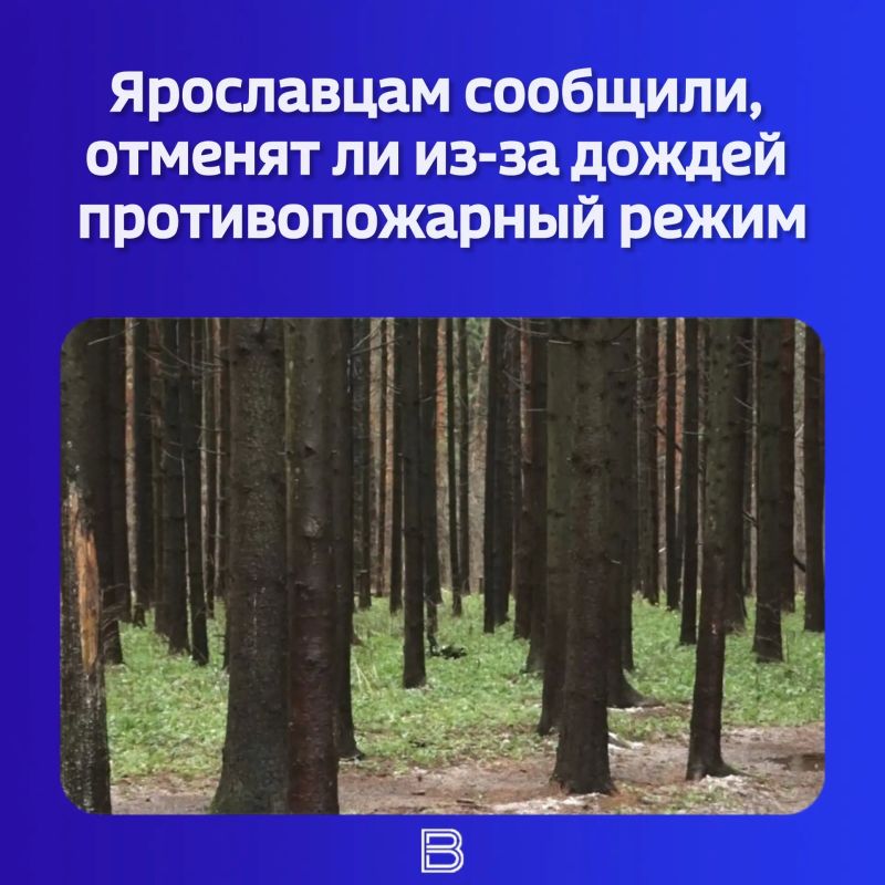 Повлияет ли дождь на действие особого противопожарного режима? Такие вопросы представителям органов власти начали задавать в соцсетях