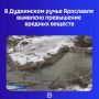 В Министерстве лесного хозяйства и природопользования региона сделали анализ проб воды из Дудкинского ручья