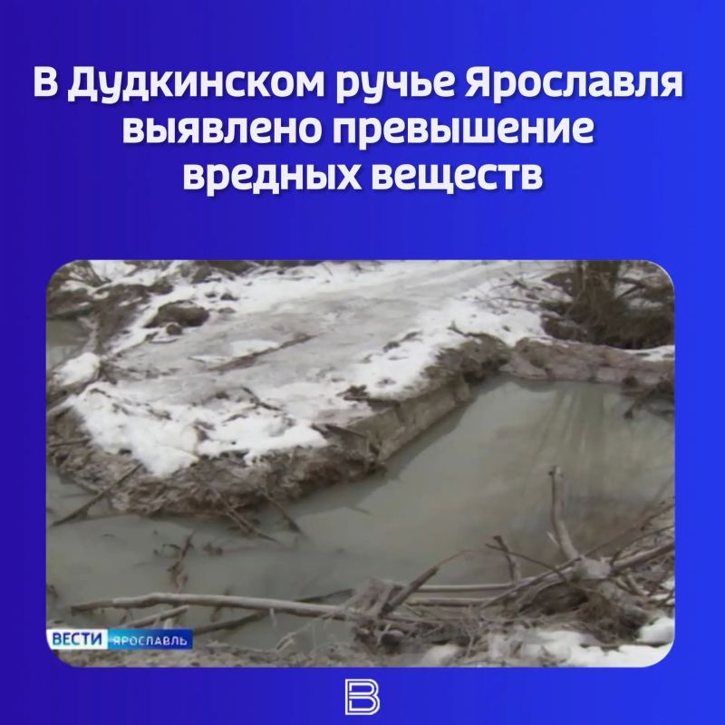 В Министерстве лесного хозяйства и природопользования региона сделали анализ проб воды из Дудкинского ручья