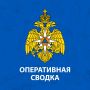 В Ярославской области за прошедшие сутки 07 июля: