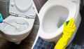 Секреты чистоты: как моментально обновить сиденье унитаза всего за несколько шагов