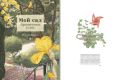 Исследование уникального мира сада: книга, дарящая вдохновение и эстетическое наслаждение