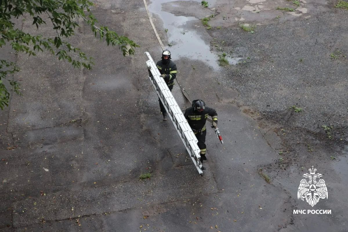 Мастерство в действии: в Ярославле определили лучших огнеборцев Мастерство в действии: в Ярославле определили лучших огнеборцев