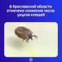 По данным регионального Роспотребнадзора, за прошедшую неделю зафиксировано 160 случая — и это меньше, чем в прошлый раз