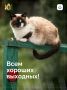Работа работой, а отдых по расписанию
