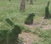 Новые качели и обезображенные зайцы: в Красных Ткачах пострадала зона отдыха