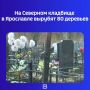 Такие работы предусмотрены контрактом, который опубликован на сайте госзакупок