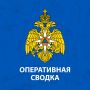 В Ярославской области за прошедшие сутки 11 августа: