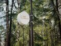 Посетители ярославских парков могут воспользоваться бесплатным Wi-Fi