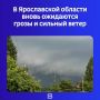 По данным регионального ГУ МЧС, в ночь с 20 на 21 августа погода резко ухудшится