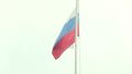 Сегодня в России отмечают День Государственного флага