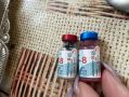 В первых пробах "Мультикана" не нашли смертельного для собак вируса