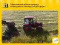 В Ярославской области планируют увеличить производство льна и молока