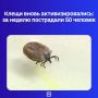 � ������������ ���������������� ������� ���������� � 17 �� 23 �������