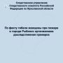 По факту гибели женщины при пожаре в городе Рыбинск организована доследственная проверка