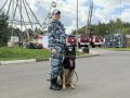 #ХорошихВыходных желает сотрудник кинологической службы УМВД России по Ярославской области и его четвероногий друг