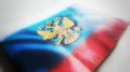 Ростовскими полицейскими установлен несовершеннолетний, подозреваемый в совершении кражи из хозпостройки