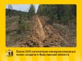 В регионе продолжают профилактику лесных пожаров