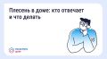 Что делать, если в квартире появилась плесень