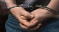 В Рыбинске задержали 63-летнего жителя Череповца по подозрению в покушении на сбыт около 580 г наркотиков