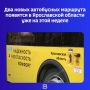 Завтра, 15 сентября, стартует маршрут №113