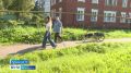 В поселке Константиновский появился четвероногий курьер — Черри
