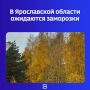 Осень решила не ограничиваться прохладой и дождями