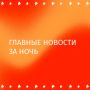 Медведя, растерзавшего пенсионерку в Красноярском крае, застрелили