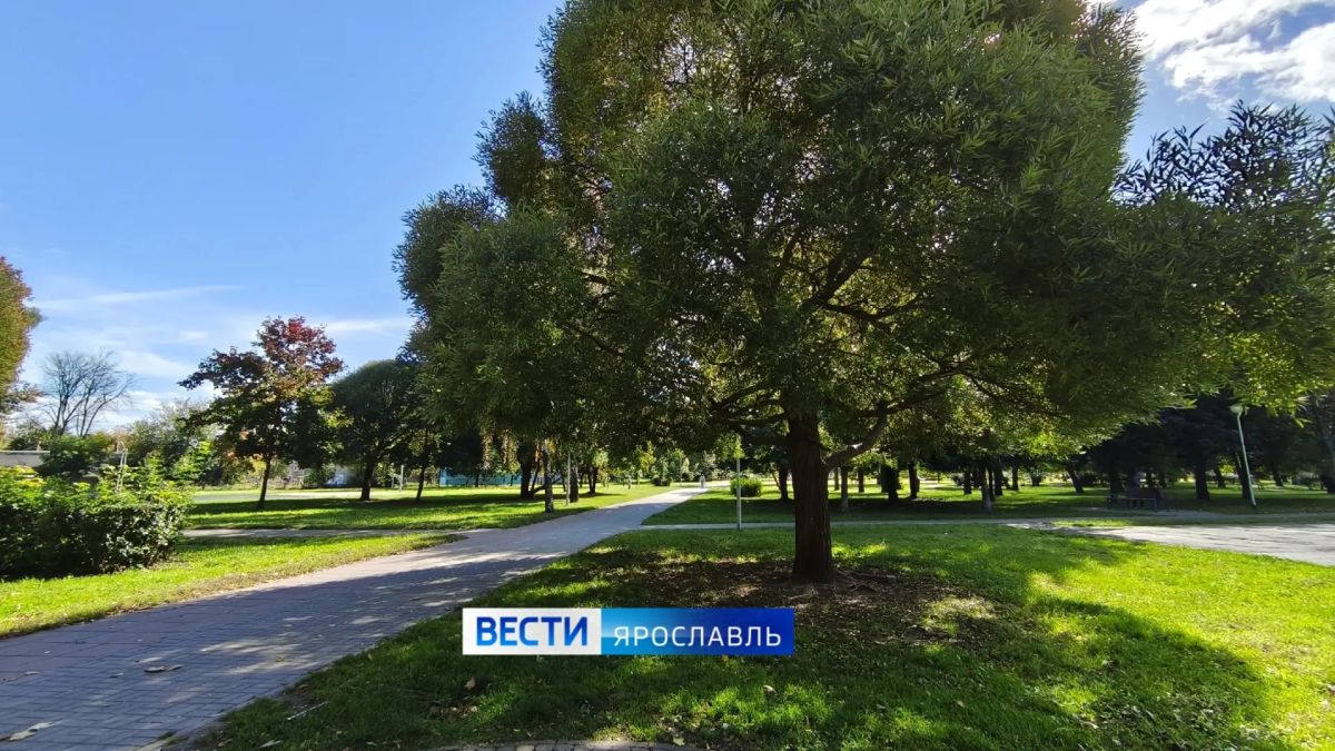 Пятница, ярославцы!. Завершаем день — и вместе с ним рабочую неделю Пятница, ярославцы!. Завершаем день — и вместе с ним рабочую неделю