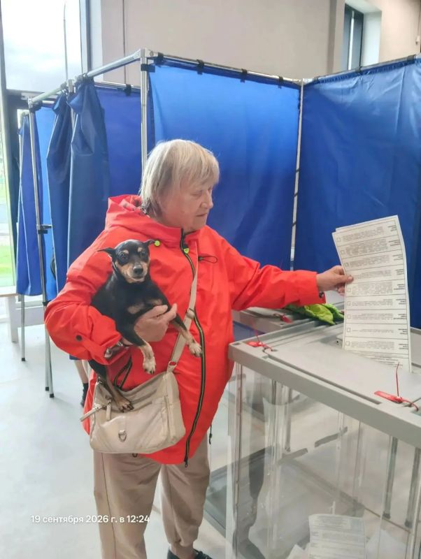 Второй день голосования в Ярославской области прошел в штатном режиме Второй день голосования в Ярославской области прошел в штатном режиме