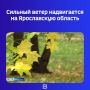 ������ �� ���������. ��� ��������� ���������� ��������������:
