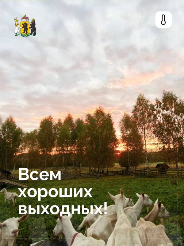 Погода испортилась, но выходные никто не отменял