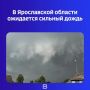 Пятничная погода совсем не радует