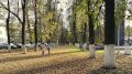 В Ярославле на этой неделе установится климатическая осень