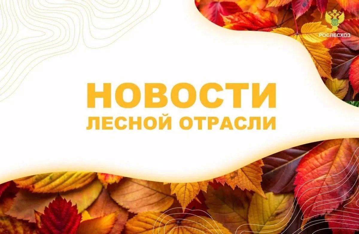 АК&М: Рослесхоз: с начала года отменено 17 региональных правовых актов