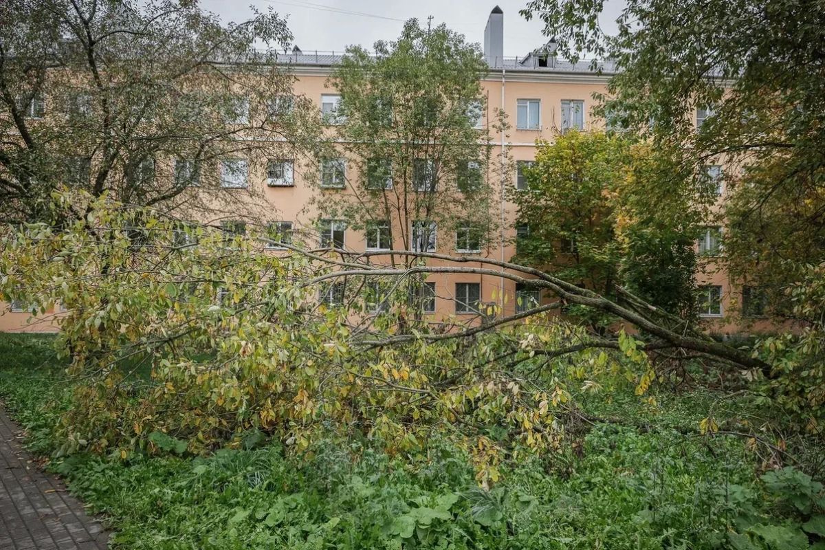 Дмитрий Рудаков: Все микрорайоны города должны быть в порядке Дмитрий Рудаков: Все микрорайоны города должны быть в порядке