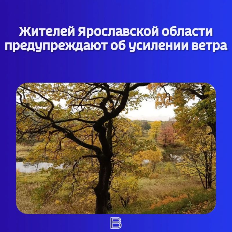 Региональное управление МЧС предупреждает о непогоде