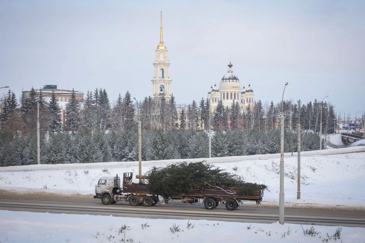 МБУ «ДЭС» запускает предновогоднюю акцию «Елка в дар»
