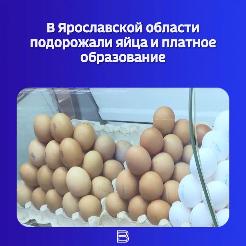 Ярославльстат поделился свежими данными о ценах за сентябрь
