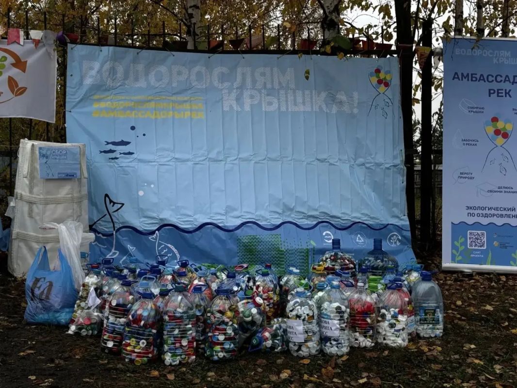 Тысячу мальков сазана выпустили в Волгу Тысячу мальков сазана выпустили в Волгу