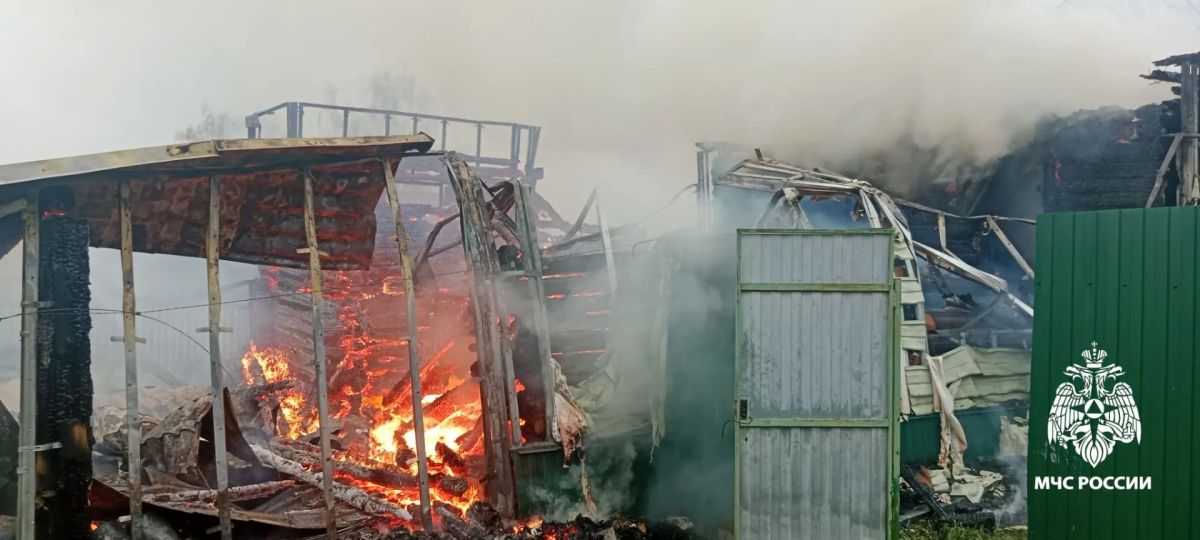 Электричество беспечности не прощает Электричество беспечности не прощает