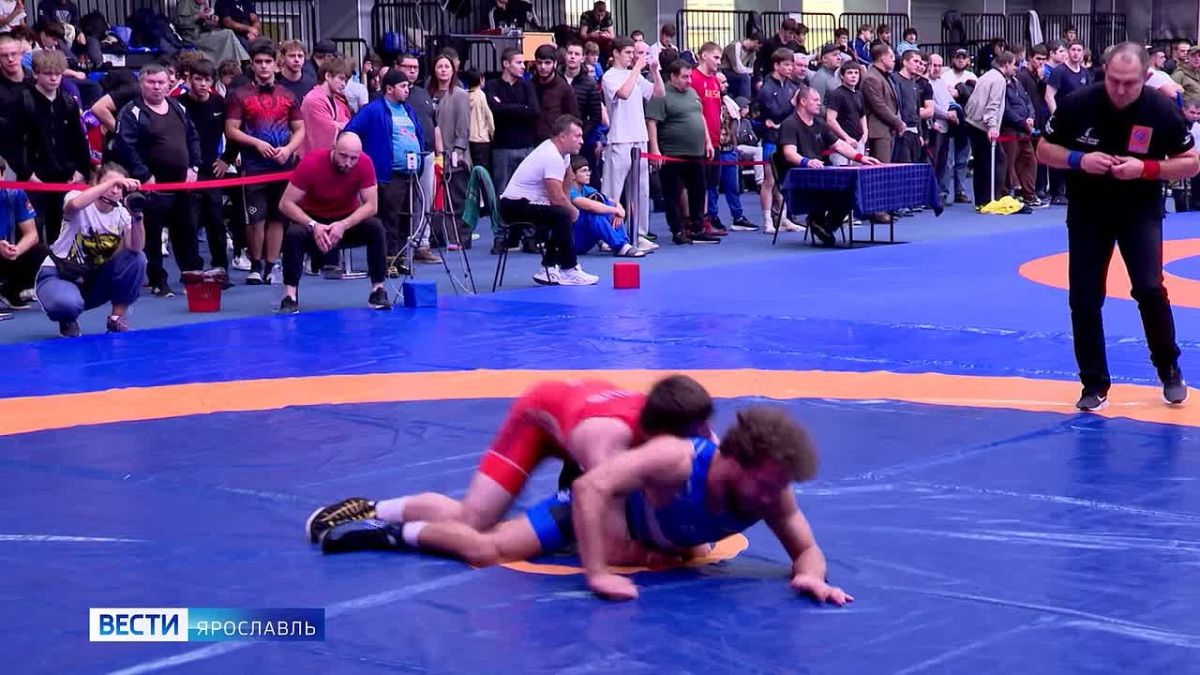 400 спортсменов, один ковёр и борьба за победу