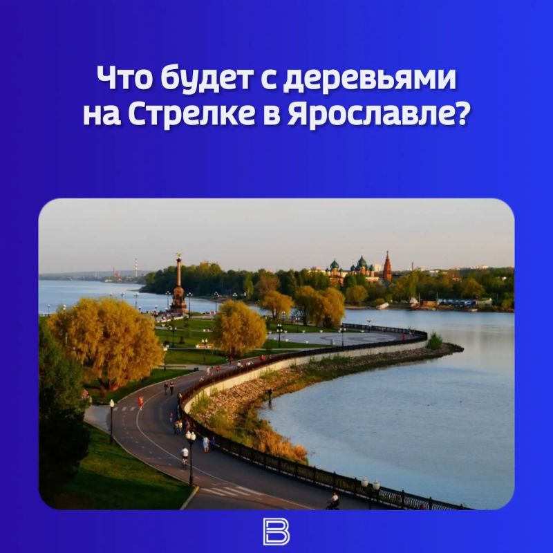В парке недавно стартовали работы по благоустройству, и это вызвало беспокойство у горожан